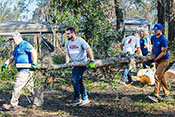 Two Team Rubicon persons and three Ford Volunteer Corps personnel carry away tree portions from among many downed trees.